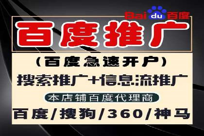 SEM托管公司案例：业绩提升之道
